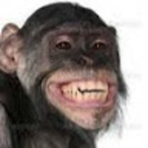 Meet your Posher, Noah